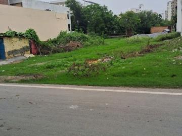 Sector-52 Faridabad, Faridabad, Gautam Buddha Nagar District, Delhi
