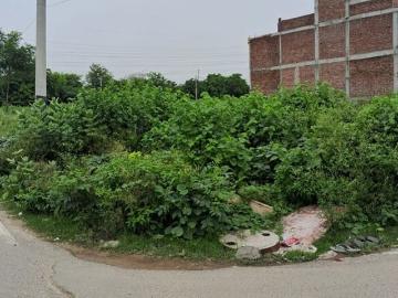 Sector-52 Faridabad, Faridabad, Gautam Buddha Nagar District, Delhi