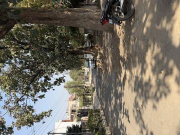 Sector-110 Mohali, Saidpur Rupnagar, Rupnagar District, Punjab