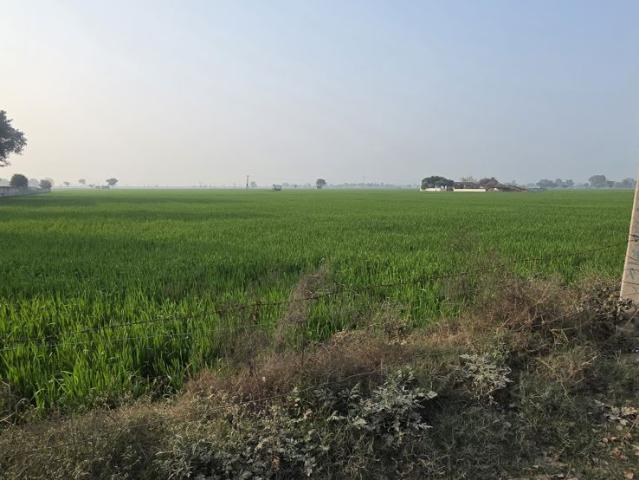 Sector 89, Mohali City 2569 Sq. Ft. Plot in Sector 89 Mohali Listing ID: #10271