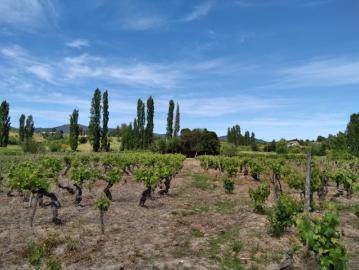 Ñipas, Provincia de Itata, Región de Ñuble