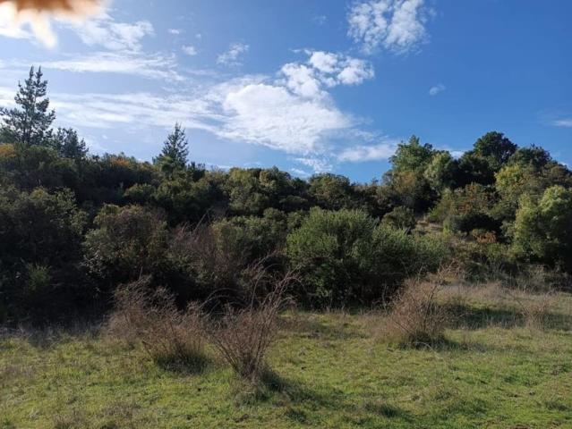 SECTOR EL MEMBRILLO