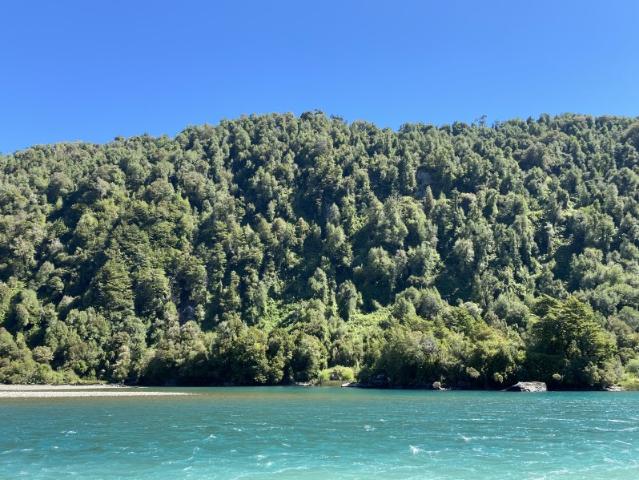 SECTOR LAGO YELCHO, CHAITÉN