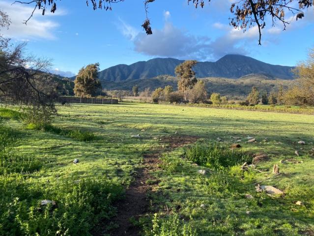 SECTOR LAS PALMAS DE OCOA