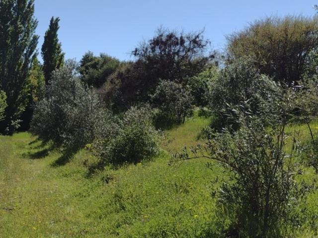 SECTOR QUINCHAMALÍ