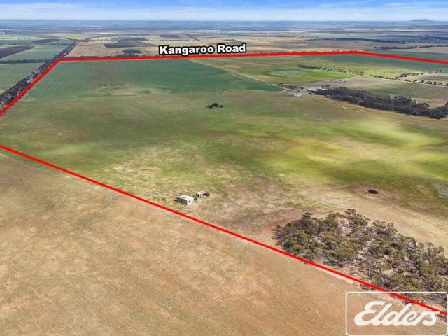 'Millers' 571 Kangaroo Road, Langhorne Creek | Secure Water Mixed Farming Boutique Vineyard