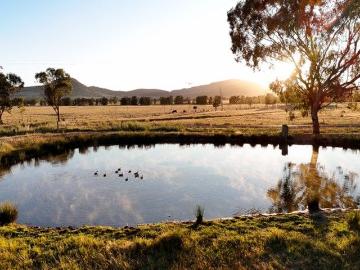 Secure your five acre future in Lawson Estate