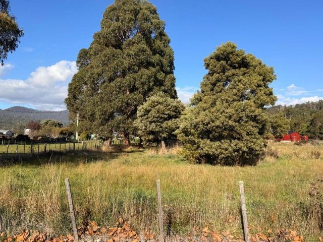 Secure Your Slice of Meander Land Available Now at 123 Main Road, TAS