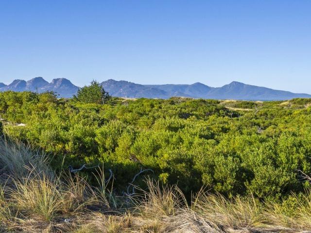 Secure your slice of Nine Mile Beach