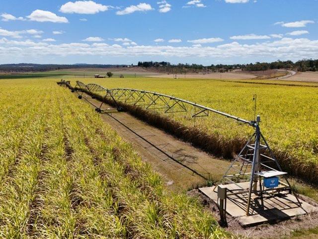 Securely Watered Irrigated Cropping Enterprise in the Bundaberg Region
