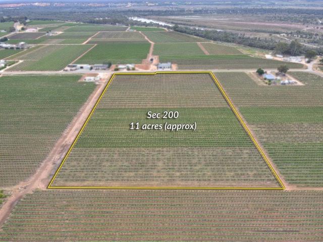 Sec 184, 200 & 271
