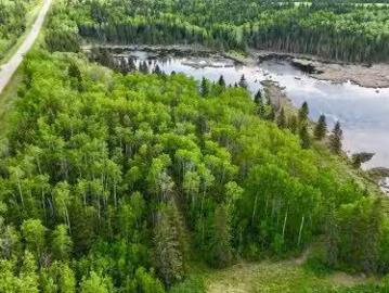 Sec Hwy 881, Rural St. Paul County, AB, T0A 3A0 vacant land.