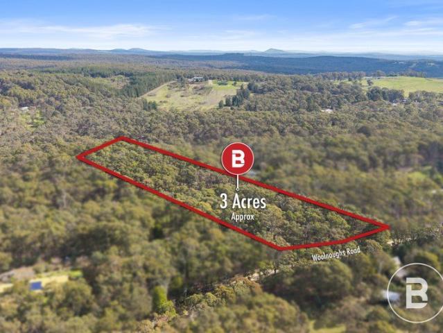 SECLUDED THREE ACRE APPROX. BUSH SETTING NEAR DAYLESFORD