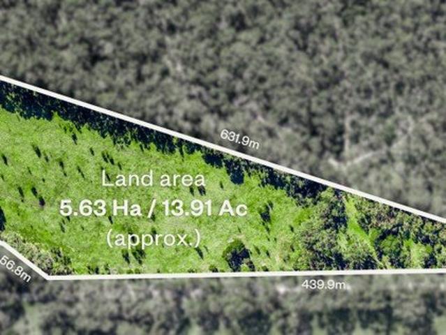 Secluded Acreage in Lush Hinterland Setting