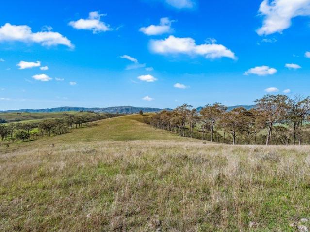 Secluded Acreage With Expansive Views