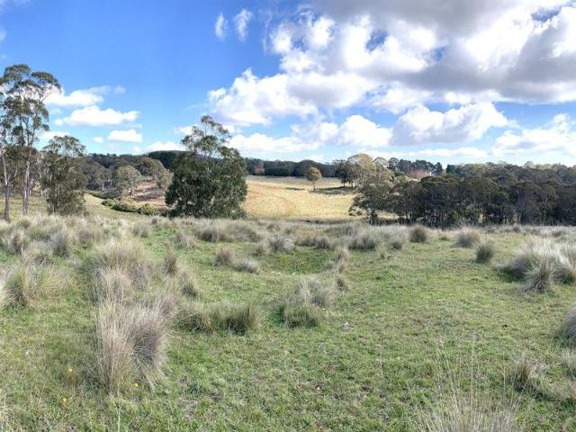 Secluded acreage with permanent creek