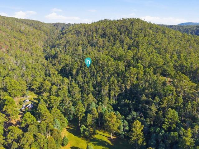 Secluded Bushland Escape