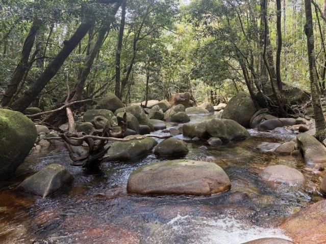 MUST BE SOLD! SECLUDED DAINTREE DREAMTIME SANCTUARY