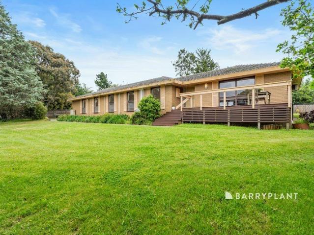 Secluded Lifestyle Living with Elevated Views, Gated Privacy & Exceptional Space