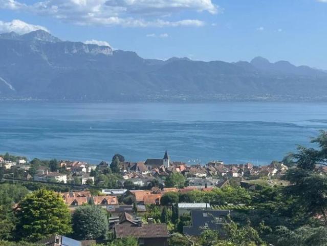 Der See, die Weinberge und Lutry zu Ihren Füßen!