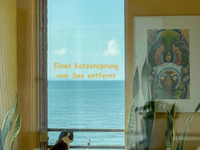 Seechance Lochau Stilvoll wohnen in neuwertiger 3 Zimmerwohnung!