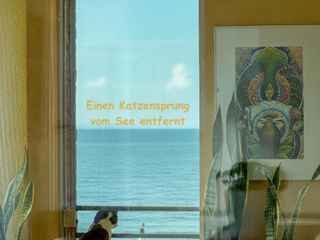 Seechance Lochau Stilvoll wohnen in neuwertiger 3 Zimmerwohnung!