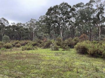 Seeking a bushland retreat?