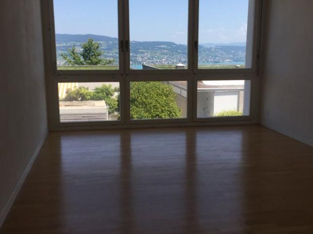 Seesicht 6 1/2 Terrassen Eckhaus in Horgen ZH
