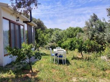 Sığacık, Seferihisar, İzmir ili, Ege Bölgesi