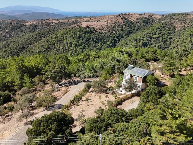 Seferihisar'da Gölcük'te Kiralık 4+1 Villa Ve Çiftlik