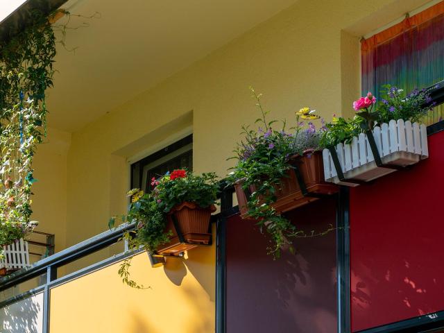 Sehr günstige Dreiraumwohnung im grünen Grünau