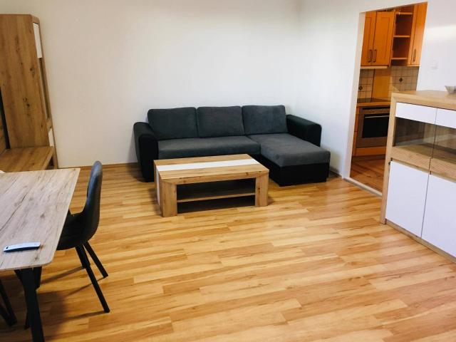 Sehr gepflegte 2 Zimmer Wohnung, zentral u. ruhig, vollmöbliert