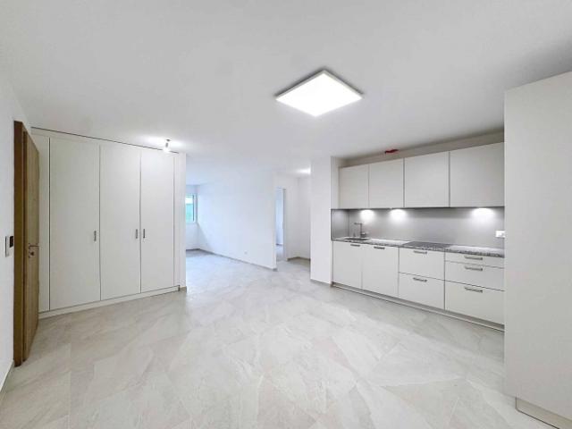 SEHR GROSS, 3,5 ZIMMER NEU, 81 M²