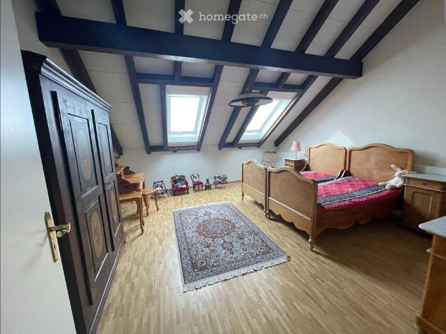 Sehr grosse Dachwohnung mit Gartenanteil
