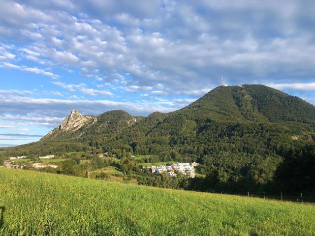 sehr helle 3 Zimmer Wohnung mit 2 Gärten sowie überdachter Terrasse und Blick auf den Gaisberg GARTEN WOHNUNG / 1P Top 6