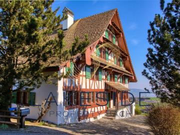 Hirzel, Horgen, Bezirk Horgen, Kanton Zürich