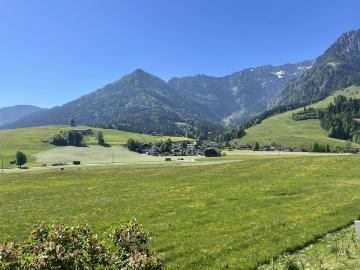 Sehr schöne 2 Zimmer Wohnung mit Balkon in Walchsee/Durchholzen