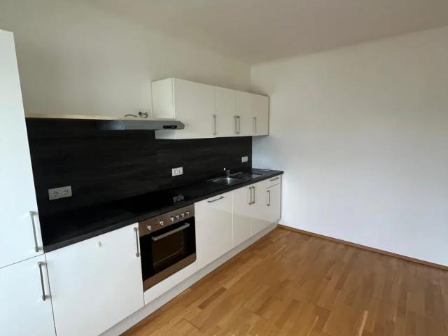 Sehr schöne und unprätentiöse Zweizimmerwohnung in direkter Nähe zum Citypark zu vermieten. Haustiere erlaubt