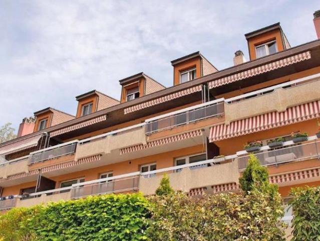 Sehr schöne Wohnung im charmanten Dorf Chernex