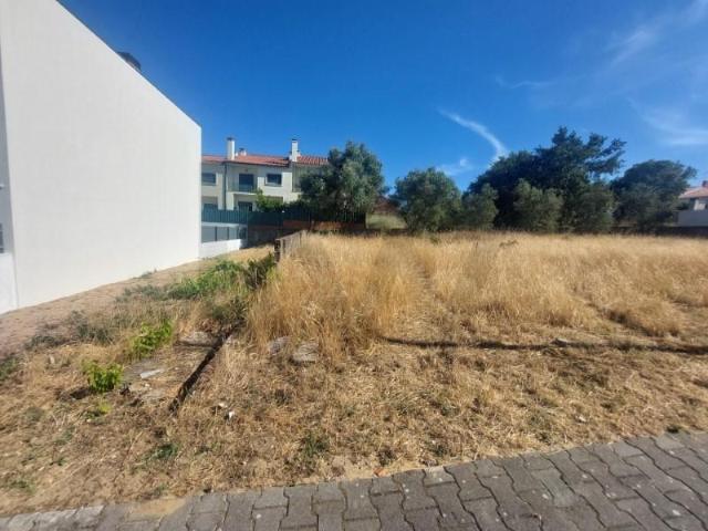 Seixal Seixal 103744461