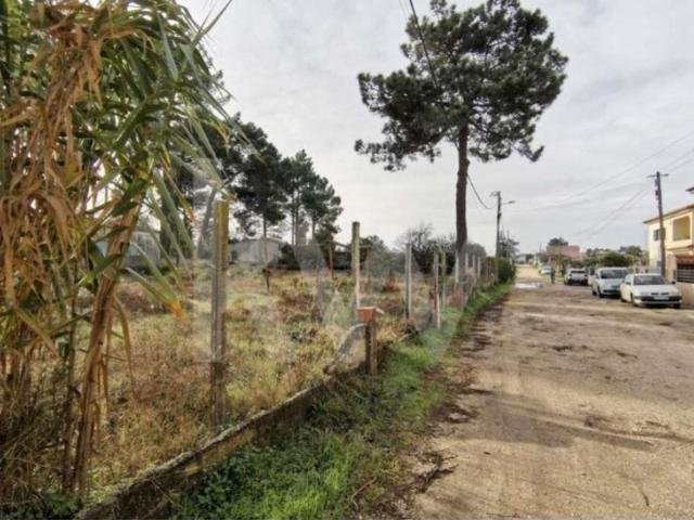 Seixal Seixal 104947720