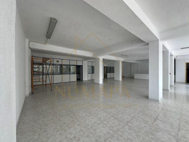 Seixal Seixal 91913930
