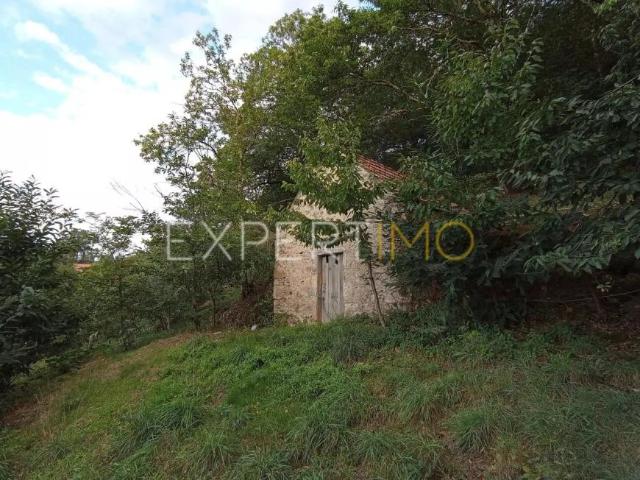 Seia Guarda 91598525