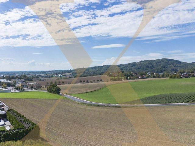 Seltene Gelegenheit in begehrter Leondinger Wohnlage