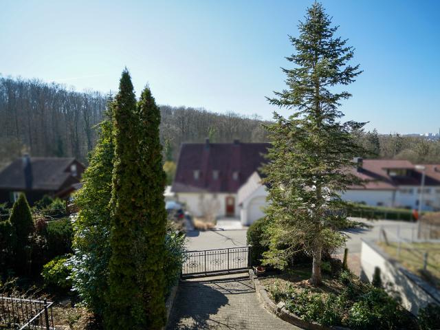 Seltene Gelegenheit in Stuttgart Sonnenberg: 892 m² Südwest Grundstück mit Weitblick