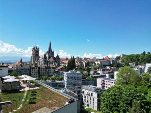 Seltene Gelegenheit Loft mit Dach in der Innenstadt