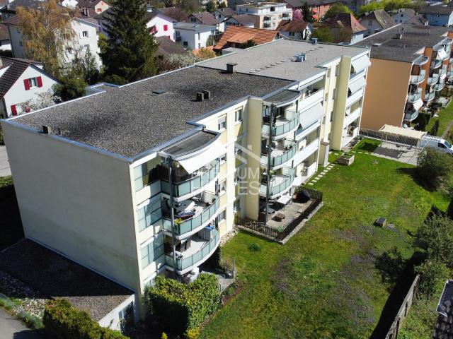 Seltene Gelegenheit