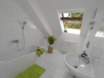 Stadtwald, Ostthüringen, Thüringen - Keller