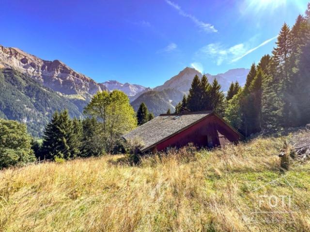 Seltenes Anwesen 7,5 Zimmer Chalet eingebettet in 28.000 m² Wald und Wiese