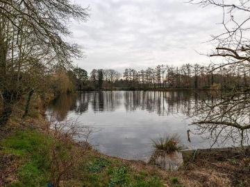Heide, Ganderkesee, Oldenburger Land, Belumer Deich, Elbe-Weser-Dreieck, Schleswig-Holstein